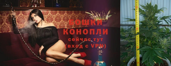 PSILOCYBIN Осташков