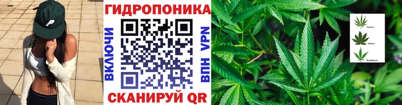 omg ССЫЛКА  Терек  Конопля THC 21% 